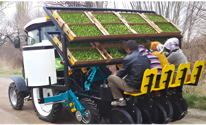 seedling transplanter1